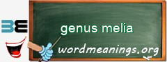 WordMeaning blackboard for genus melia